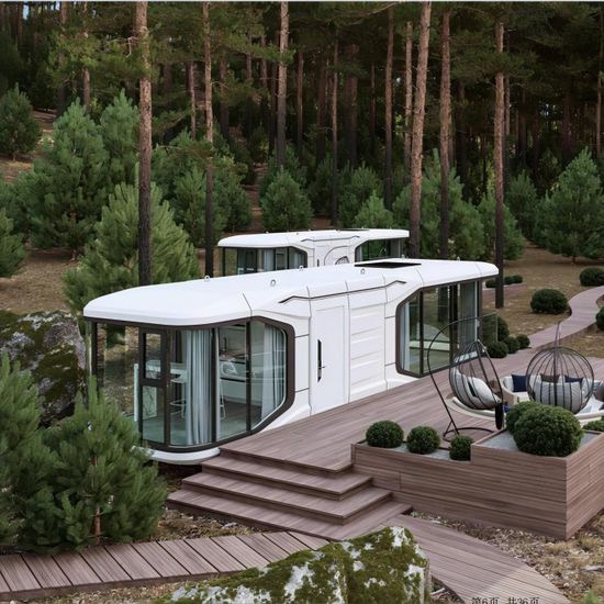 კაფსულა სახლი - Capsule Luxury House